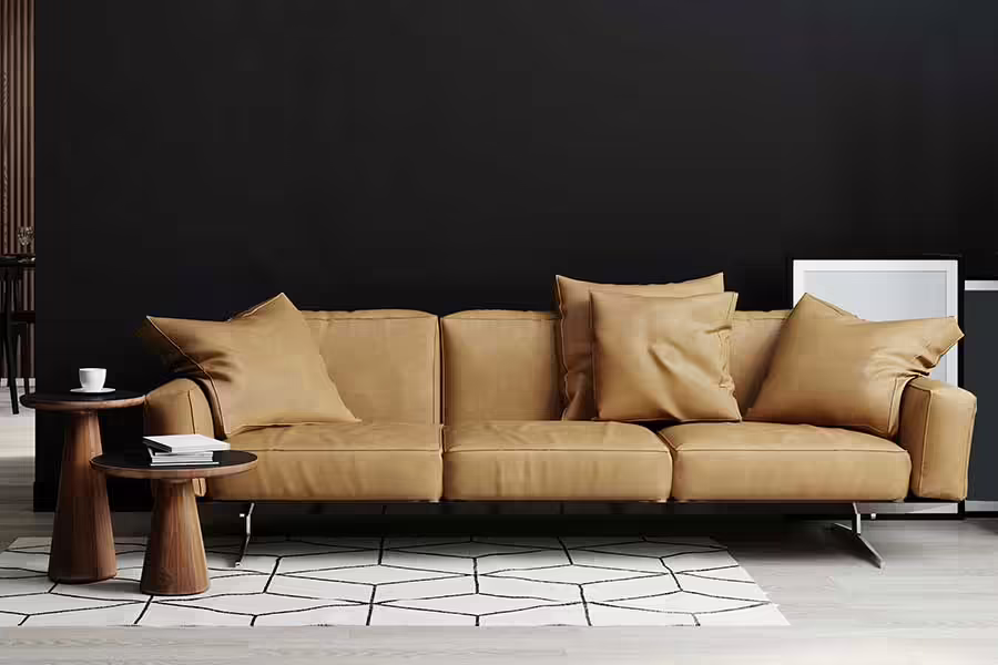 Luisnvaya Home Furniture Sofa