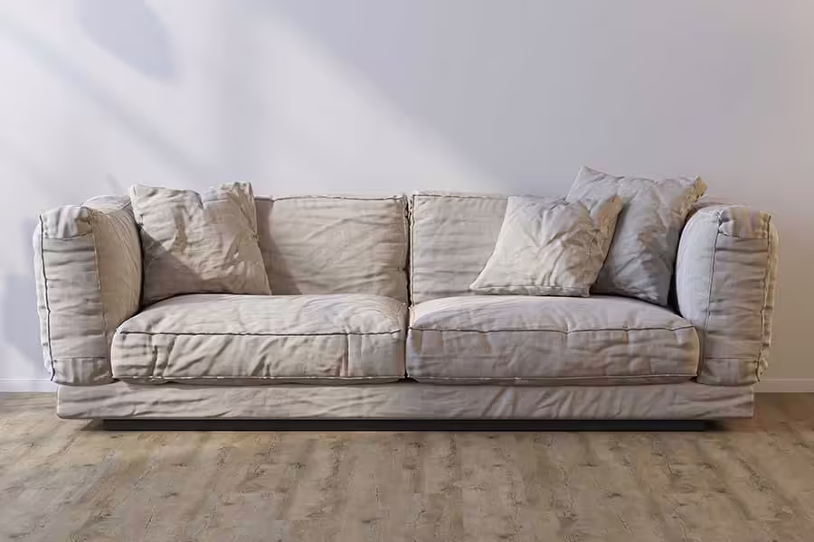 Luisnvaya Home Furniture Sofa