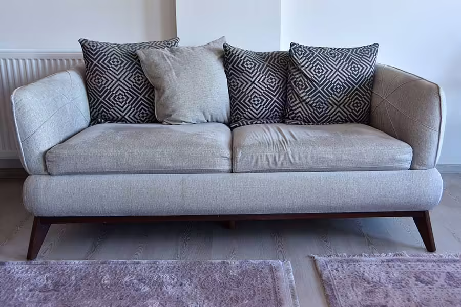 Luisnvaya Home Furniture Sofa